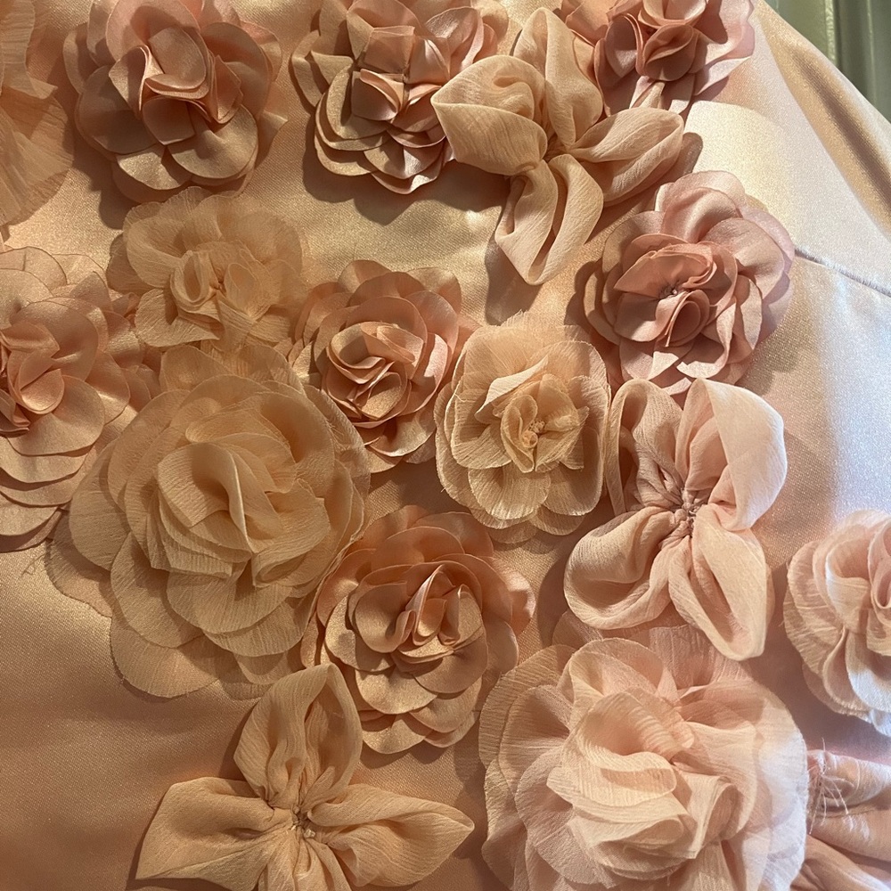 Love Shack Fancy Satin Mensa Mini Dress Size 6 Rose Appliqués - Picture 9 of 11